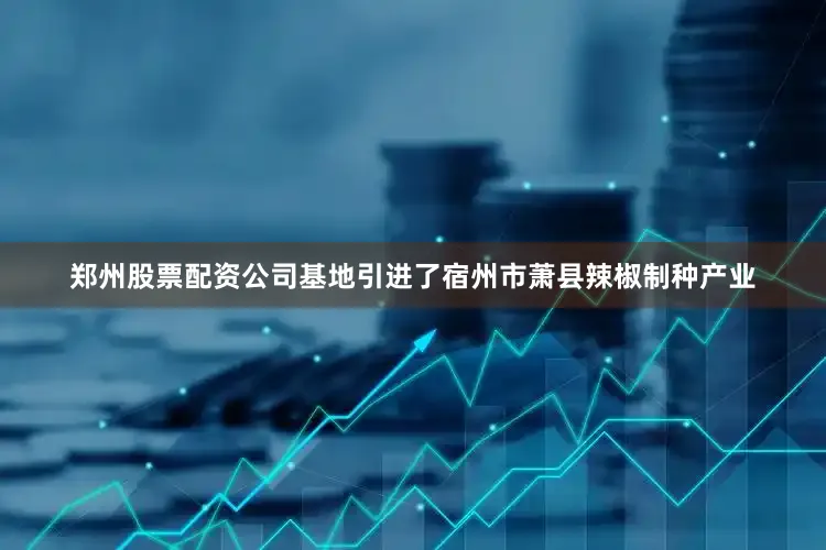 郑州股票配资公司基地引进了宿州市萧县辣椒制种产业