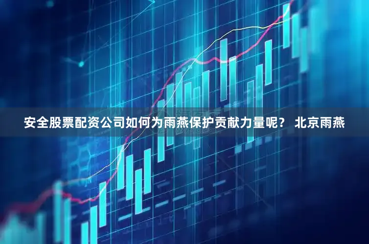 安全股票配资公司如何为雨燕保护贡献力量呢？ 　　北京雨燕