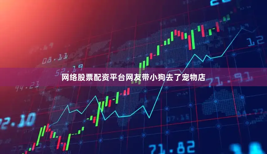 网络股票配资平台网友带小狗去了宠物店